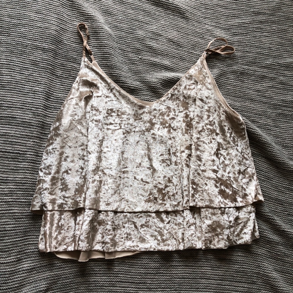 Velvet Cropped Top